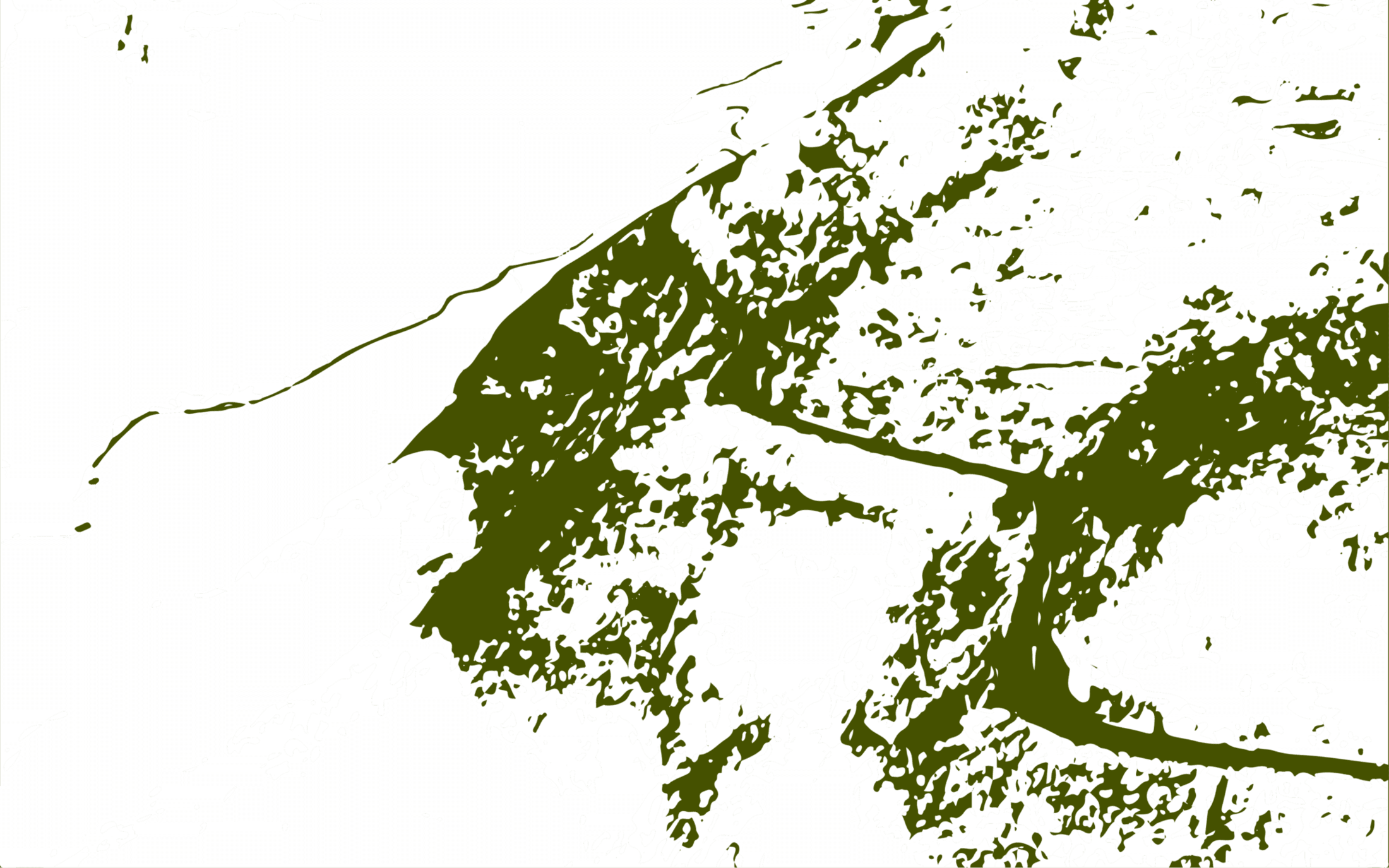 popular-tour-background