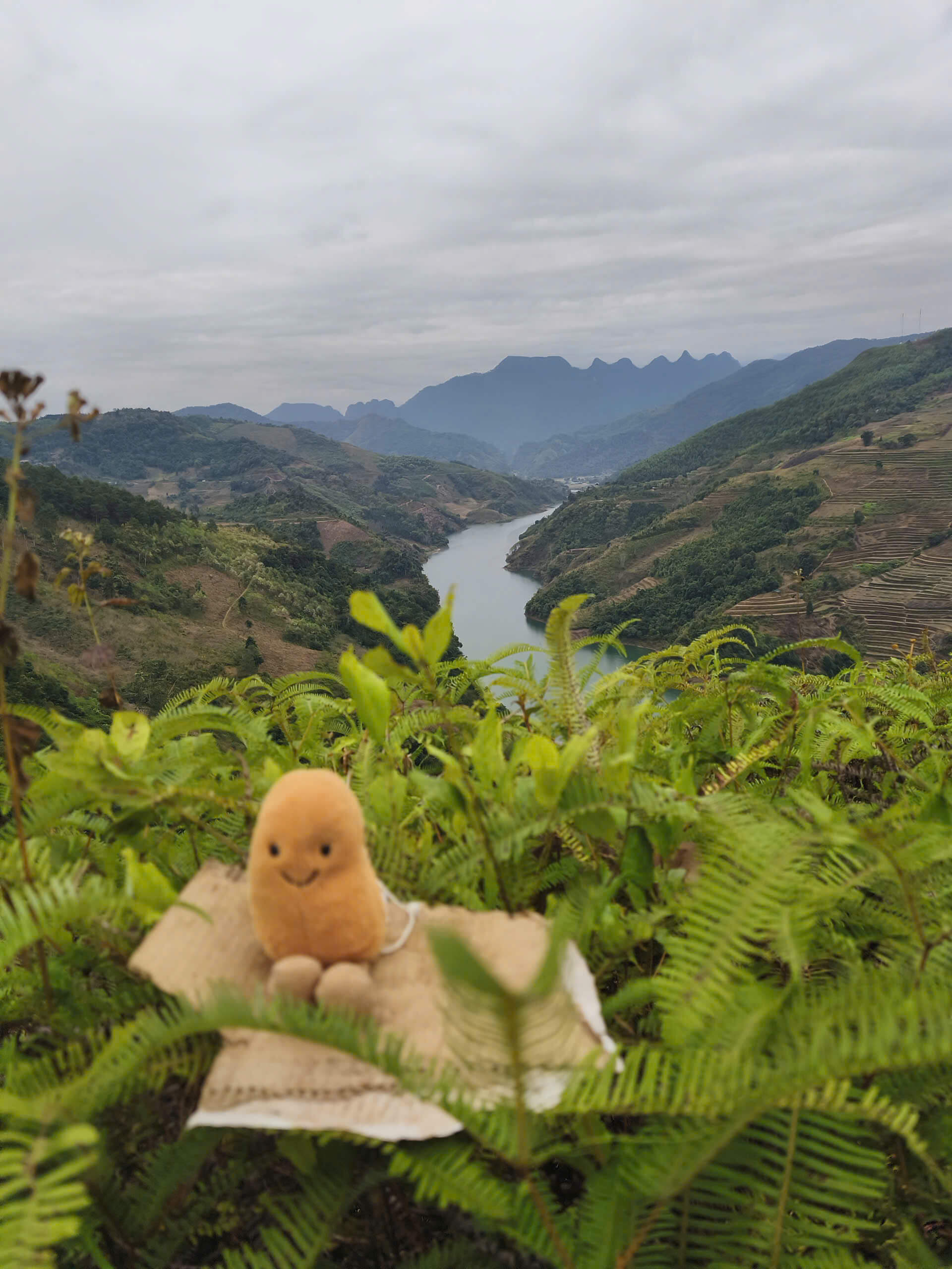 A cute plush toy sitting on a cliff overlooking the emerald Nho Que River and the majestic limestone mountains of Ha Giang, Vietnam.