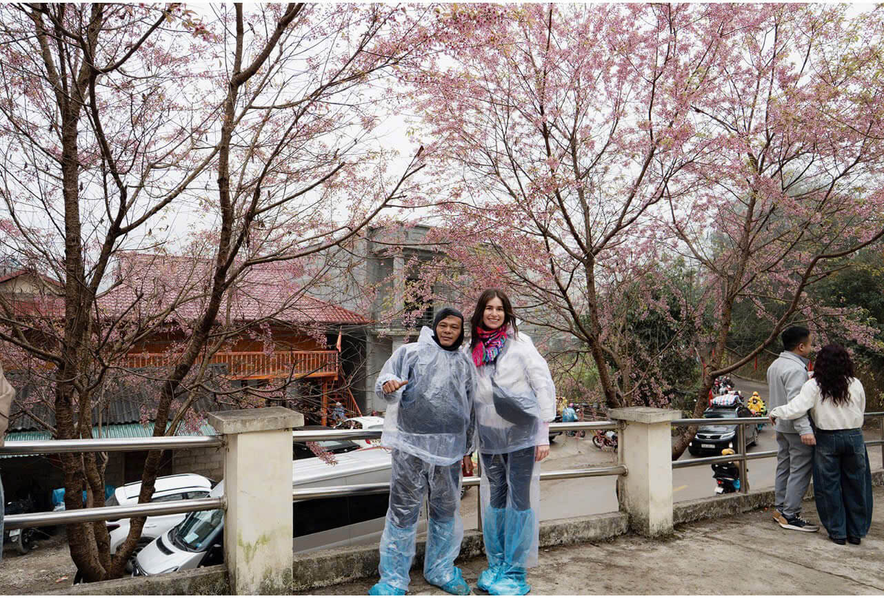 Happy tourists taking a selfie under vibrant pink cherry blossoms during their 4-day Ha Giang Loop adventure.